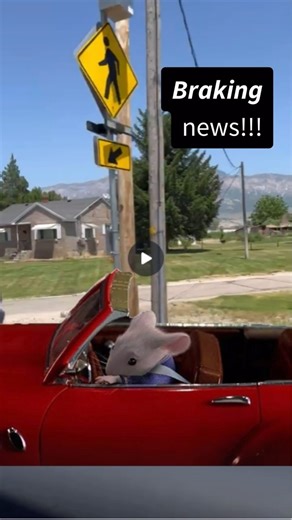 You know to 🛑 when you see a rapid flashing beacon, but do you know when to 🟢? Drivers, if you see flashing lights at a crosswalk, people may be trying to cross the road. If you see someone waiting to cross, stop! Make eye contact to show that you’re yielding to them. Be sure to look in both directions for people on both sides of the crosswalk. Once everyone is safely out of the crosswalk, continue slowly. Pro tip: Bikes are allowed to use the crosswalk, too. Be sure to yield to them the same 