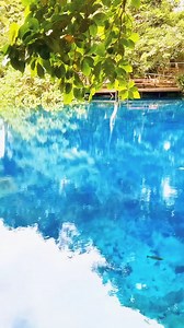 5.7K views · 165 reactions | Espiritu Santo, Vanuatu  . Discover...