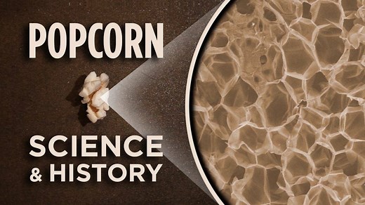 Did you know that popcorn was the first type of corn domesticated by humans? Or that the starch within popcorn is liquefied before it pops? This video explores the history and science of popcorn - just in time for the Oscars! | OPB