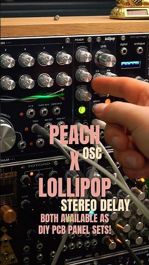PEACH X LOLLIPOP 🍭 STEREO PT2399 DELAY AND SEEDUINO XIAO BASED OSCILLATOR #diy #arduino #eurorack