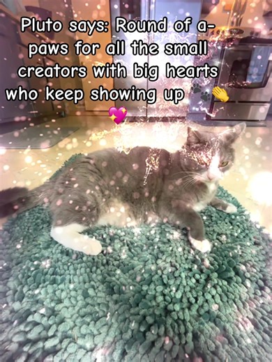 Every post matters. Pluto’s paws are clapping for the ones who never quit 🙌🐾 #lowviews #smallcreators #bigplutopaws #plutoskittyworld #catsoftiktok