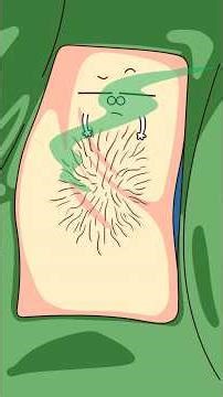 How to Get Rid of Armpit Odor (Minimally Invasive Style)#shorts
