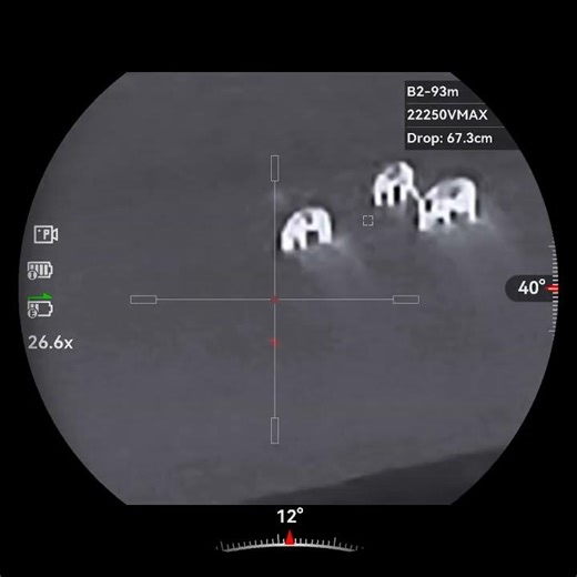 Long range hog headshot 437 yards (400m) 22-250 rem. 50grs V-max, #headshot #hunting #hoghunting