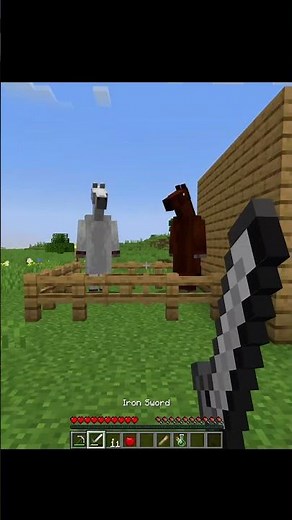 Feeding horses #minecraft