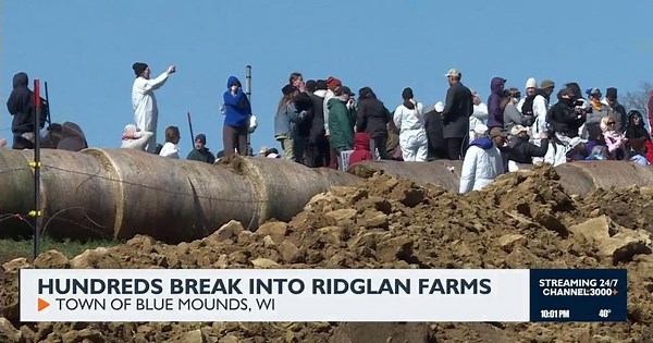 Animal rights activists break into Ridglan Farms