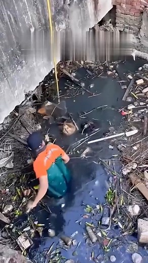 #This operation is so stupid # snapping turtle #biggest snapping turtle #drainage ditch | Zoya Devi