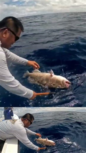 90-mile gag/red snapper trip