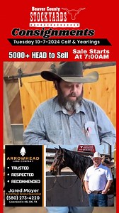  Big Sale This Monday! Over 5,000 head of calves and yearlings will sell at Beaver County Stockyards in Beaver, OK! Make plans to tune in and watch it live on LivestockHub — one of the biggest fall runs of the year.  Monday, October 7  Calf & Yearling Sale | 5,000+ Head  Watch Live: facebook.com/beaverstockyards #BeaverCountyStockyards #LivestockHub #CattleSale #OklahomaCattle #YearlingSale #CalfSale #CattleAuction #FarmTok #AgLife #LivestockAuction | LivestockHub | Facebook