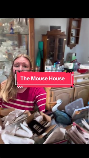 Intodicing - the the mouse mansion at my hoarder boomer moms’s house #hoarder #boomer #familydynamics #emotionallyimmatureparents