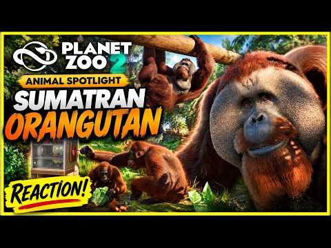 Planet Zoo 2 Sumatran Orangutan Reveal! NEW Behaviours & Tool Use! 🦧