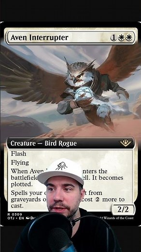 aven interrupter