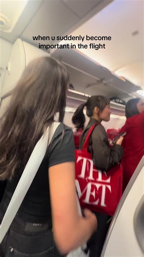 Understanding Emergency Roles on Airplanes