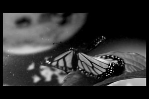 绿洲 Oasis.-.[I'm.Outta.Time].MV