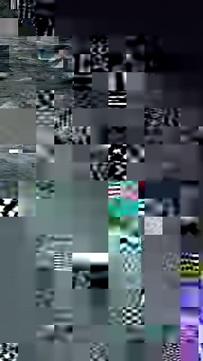 Bears Catching fish 🐠 Their Lunch | Beauty of Nature