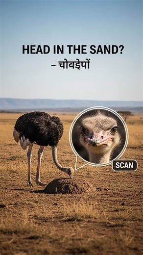 The Ostrich Myth Busted! ️ They don't hide—they fight! visualizes why the "head in the sand" story is just a 2,000-year-old optical illusion. #NatureFacts #Ostriches #ScienceShorts #3DAnimation #BiologyFacts | Tastey Foodies | Facebook