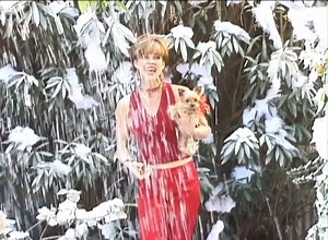 121 reactions · 17 shares | #FlashbackFriday Tonight, I'm taking a stroll down memory lane to share a special holiday memory with all of you Many years ago, I created a holiday video featuring my show horse, CoCo, and my beloved dog, Sunny Boy—the founding dog of the Linda Blair Worldheart Foundation. I hope you enjoy this video in memory of my animal friends Wishing you a wonderful holiday weekend, filled with love and joy. Love, Linda | The Linda Blair WorldHeart Foundation | Facebook