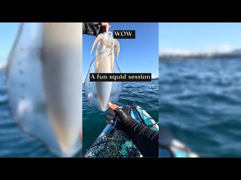 Aliens at Sea ? Squid Fishing Gone Wild !