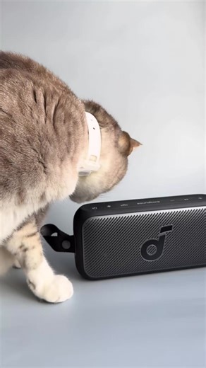 16K views · 108 reactions | Motion 300 unboxed!  What's your go-to test track for checking out its sound? Comment your song choice!  #asmr #satisfying #asmrsounds #asmrcommunity #asmrvideo #tech #newtech #technology #unbox #techunboxing #soundcore #motion300 #gadgets #speakers #audio | soundcore | Facebook