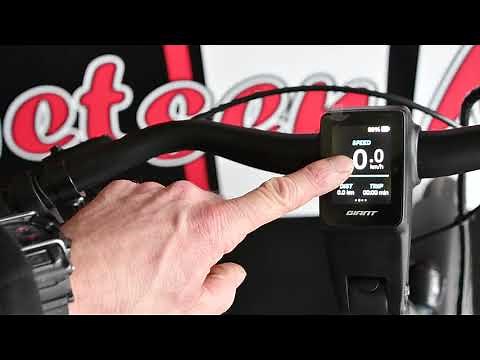 Giant ridedash evo + ridecontrol ergo 2 model 2021 &+