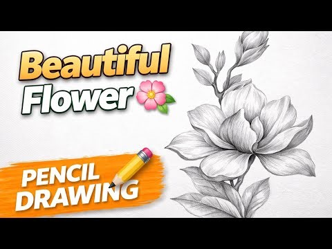 Beautiful Flower Pencil Sketch | Easy Shading for Beginners