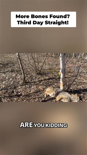 This is absolutely wild! Stumbled upon these bones and thought it was a fluke. Then, found more. I swear, this isn't staged—it's just unbelievable reality unfolding. #BonesFound #Unbelievable #Mystery #Discovery #NatureFinds | SVC Explorers Of The Unknown
