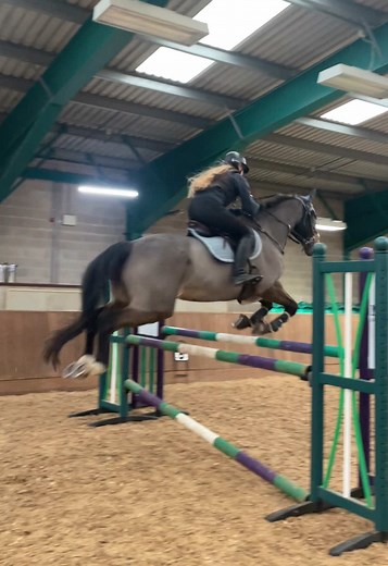 Dinky Jumping: A Show Jumper's Perfect Day
