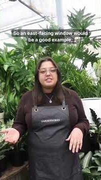 Understanding Indoor Light for Plants