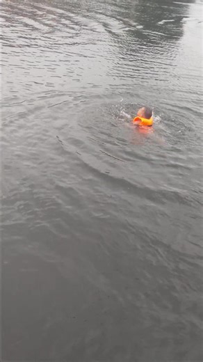 1.1K views · 66 reactions | Sim Sim on Reels | Facebook