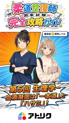 血液凝固は「網」と「ハサミ」→フィブリンとプラスミンの2役を1分で攻略