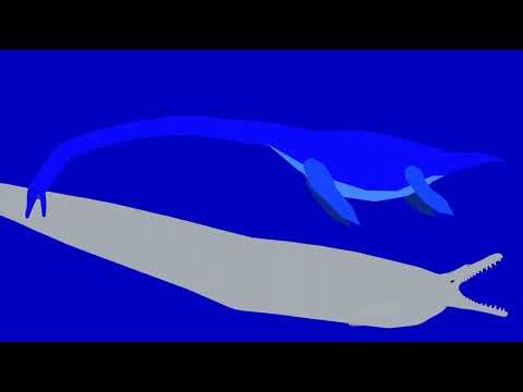 SNDBC episode 74: basilosaurus vs elasmosaurus