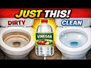 How to Remove Tough Toilet Bowl Stains (In Minutes)