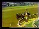 Forego - 1974 Brooklyn (Begins tear in the Handicap Triple Crown Division)