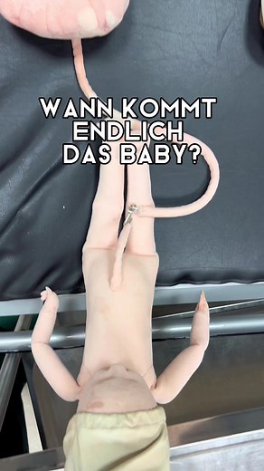 Wann kommt das Baby? Alles über den Geburtsfortschritt