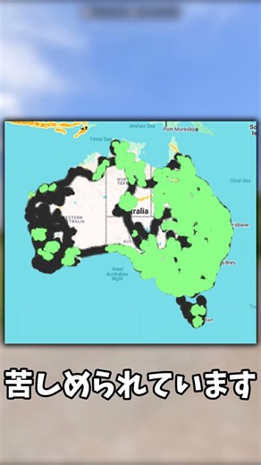 【Geoguessr】もう使えなくなってしまったメタ3選#geoguessr