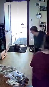 10M views · 69K reactions | This is absolutely hilarious 藍  | Furry Tails | Facebook