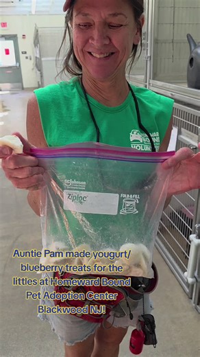 littles need homes too!! check out the adorable little dogs waiting at Homeward Bound Pet Adoption Center Blackwood NJ #treats #little #adoptme #fyp #nj