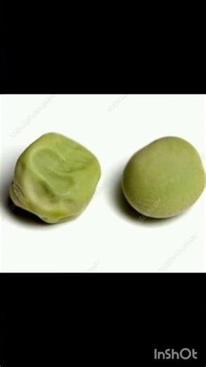 Mendel’s Laws of Inheritance| #PradeepLearningLab| biology |neet