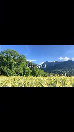 سورة (القصص ٧٠) || القارئ: محمد الصديق المنشاوي #قرآن #quran #المنشاوي