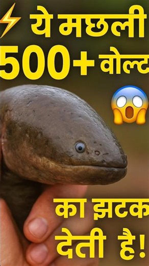 क्या आपने ऐसी Electric Fish देखी है?😱⚡ #shorts