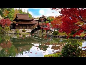 Musique Japonaise Pour Une Relaxation Profonde Et Une Détente Totale"