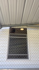 I was in the aviary hanging out with the free flyers, the Hyacinths are in the sun room next to them, Lily was being rather chatty. | Straw Hat Parrots