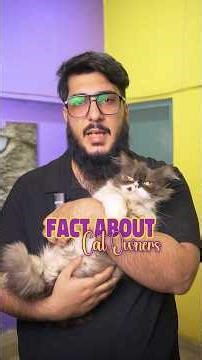 Crazy Cat People: The Truth About Cat Owners #cat