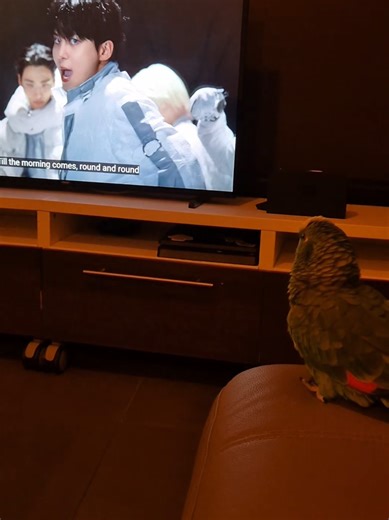 Girl knows ball when she sees it 🙏 Finally decided to show her NASA. She has demanded to see it 50 more times ever since. Ateez addiction is real yall 🫠 #seonghwa #parrot #ateez #atiny #shinestar