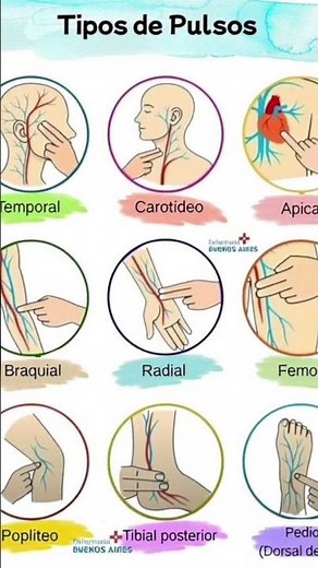 tipos de pulso #enfermeria #salud #viral #tendencias #medicina