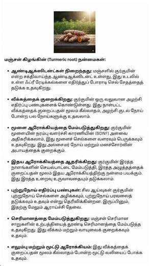 Turmeric Root – Golden Spice for Healing, Immunity & Natural Wellness