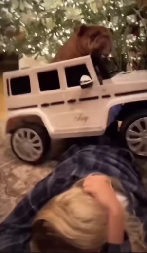 Jeb (@jeb78)’s videos with original sound - Jeb