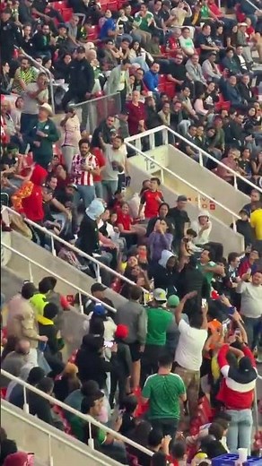 Entrée des leopards au stade Jamaïque vs nouvelle Calédonie