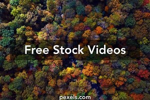 Zoom In Videos, Download The BEST Free 4k Stock Video Footage & Zoom In HD Video Clips