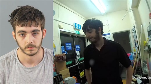 Moment Roblox sex offender arrested