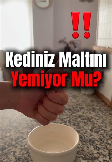 Kediniz İçin Malt: Tüy Dökülmesini Önleyin